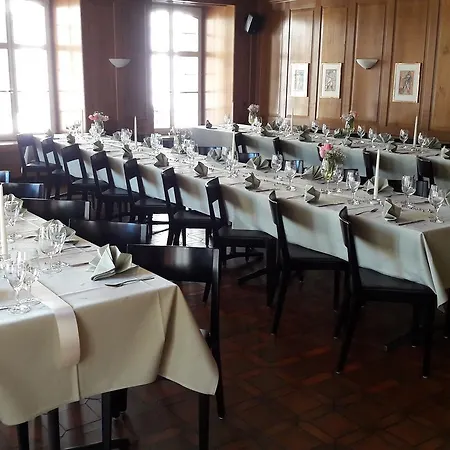 Zunfthaus Zu Metzgern 3* Thoune