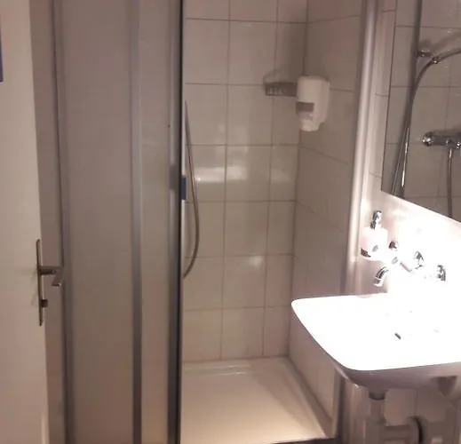 Zunfthaus Zu Metzgern 3*