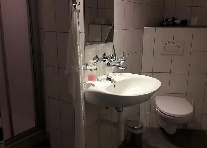 Han/Misafirhane Zunfthaus Zu Metzgern 3*