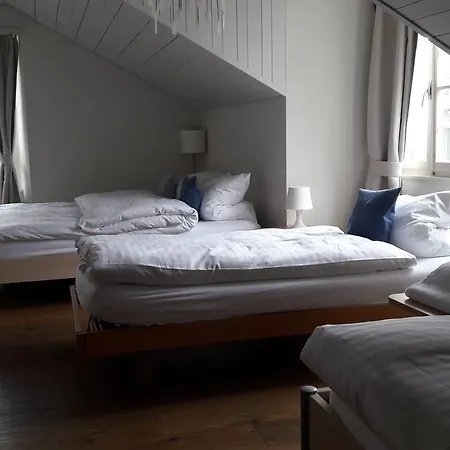 Zunfthaus Zu Metzgern 3* Thun