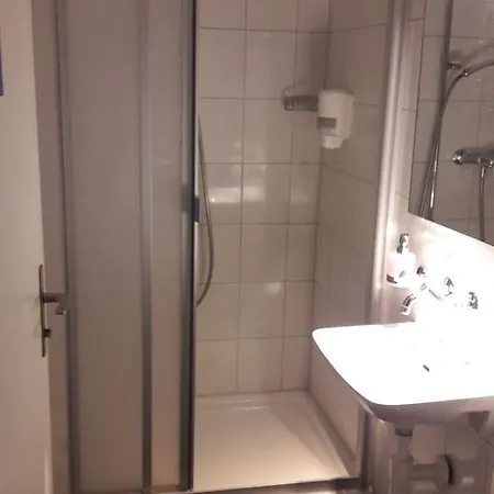 Zunfthaus Zu Metzgern 3*